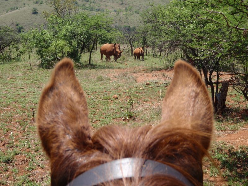 Limpopo Abenteuer Trail