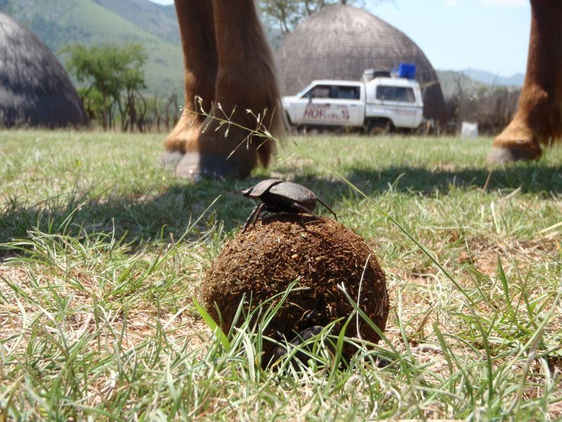 Limpopo Abenteuer Trail