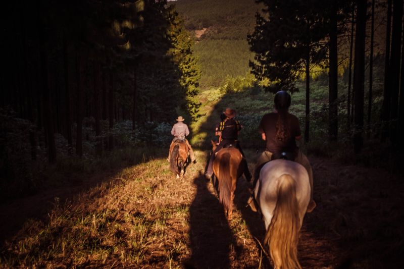 Limpopo Abenteuer Trail