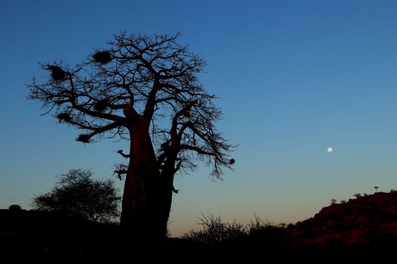 Limpopo Abenteuer Trail