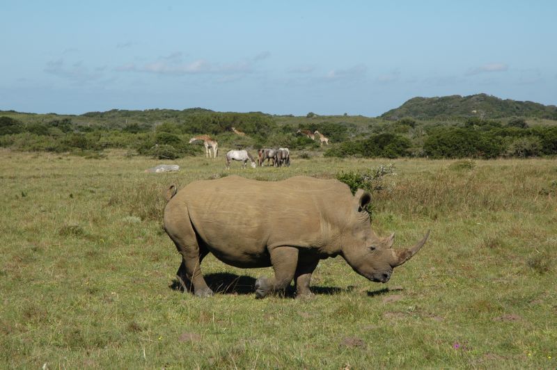 Limpopo Abenteuer Trail