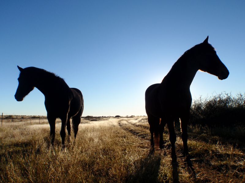 Limpopo Abenteuer Trail