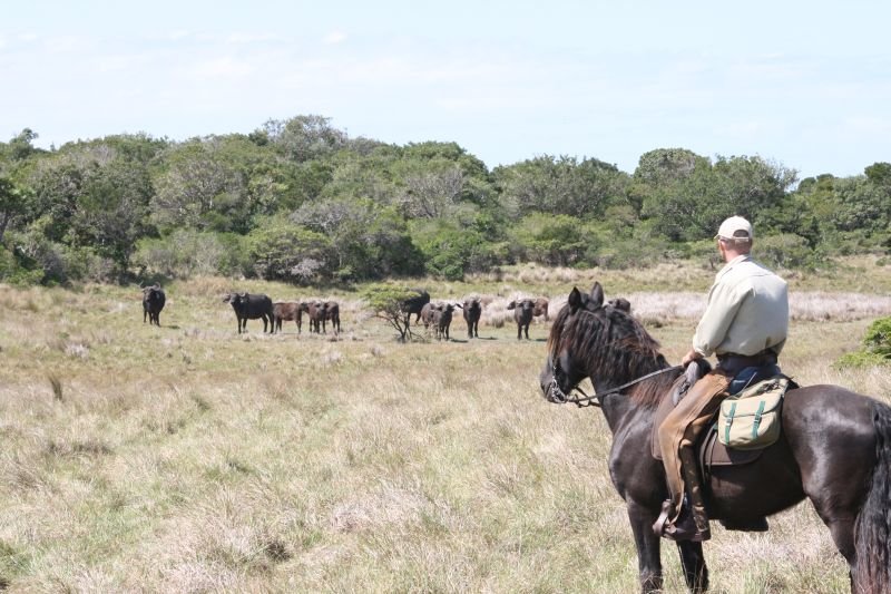 Limpopo Abenteuer Trail