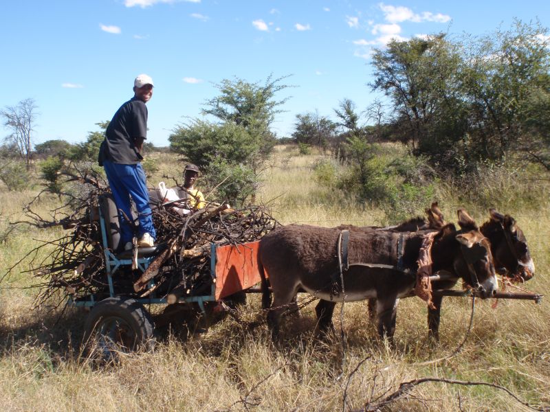 Limpopo Abenteuer Trail