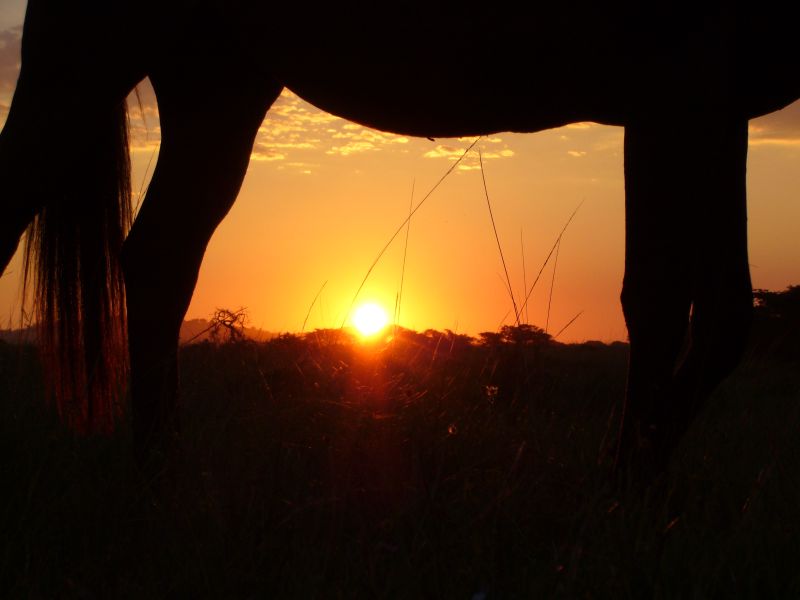 Limpopo Abenteuer Trail