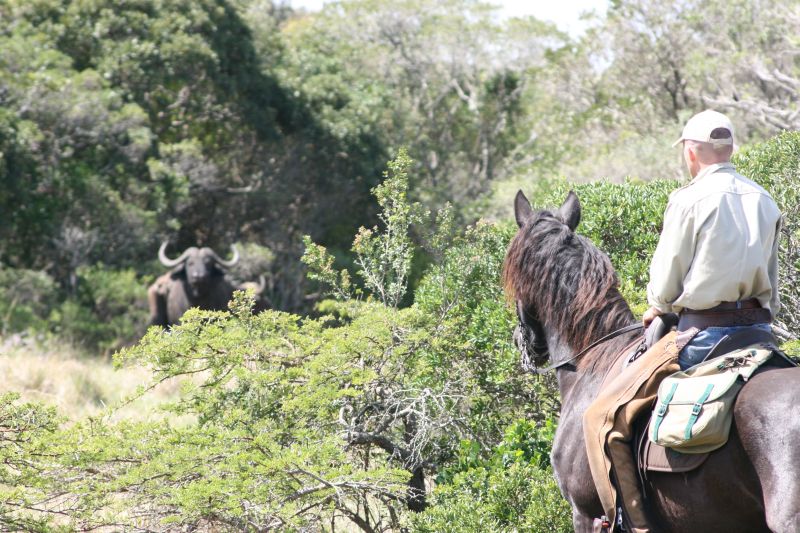 Limpopo Abenteuer Trail