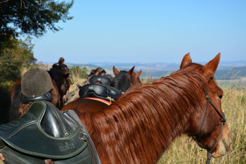 Limpopo Abenteuer Trail