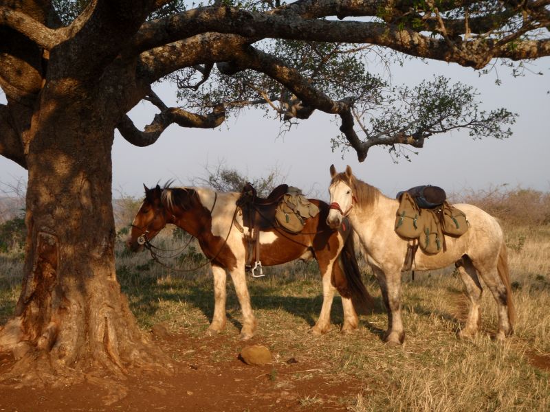 Limpopo Abenteuer Trail