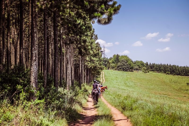 Limpopo Abenteuer Trail