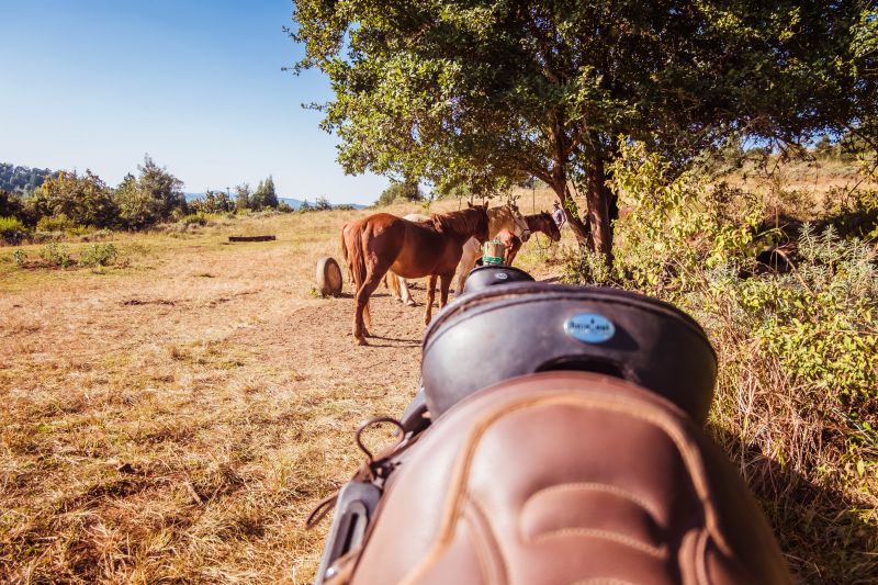 Limpopo Abenteuer Trail