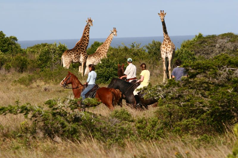 Limpopo Abenteuer Trail