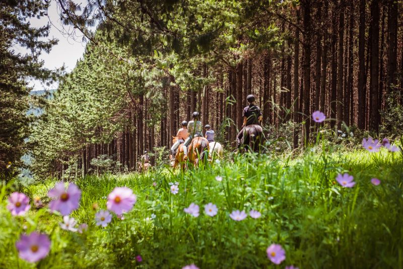 Limpopo Abenteuer Trail