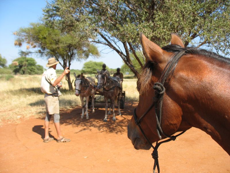 Limpopo Abenteuer Trail