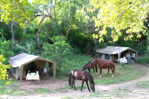 African Explorer Wilderness