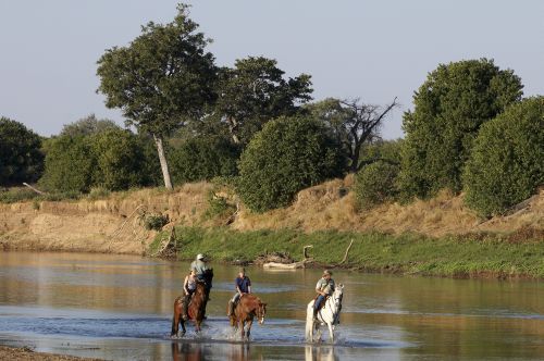 African Explorer Wilderness