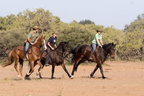 African Explorer Wilderness