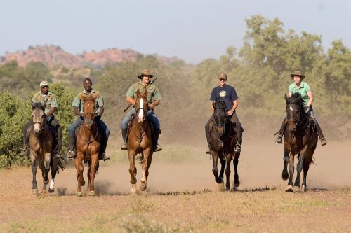 African Explorer Wilderness