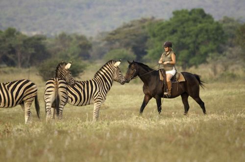 African Explorer Wilderness