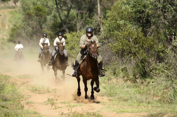 Wildnis Reitsafari im Komfort Camp