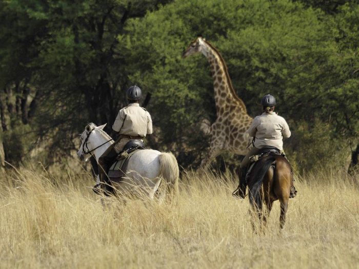 Wildnis Reitsafari im Komfort Camp