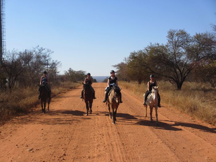 Wildnis Reitsafari im Komfort Camp