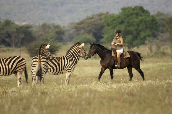 Wildnis Reitsafari im Komfort Camp