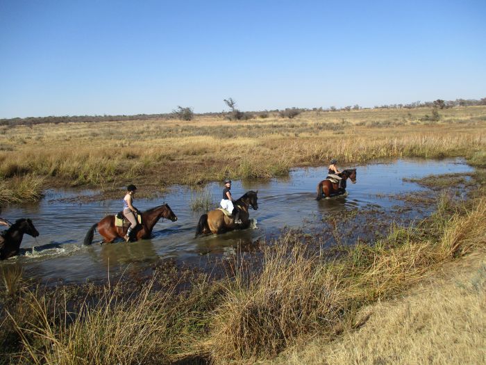 Wildnis Reitsafari im Komfort Camp