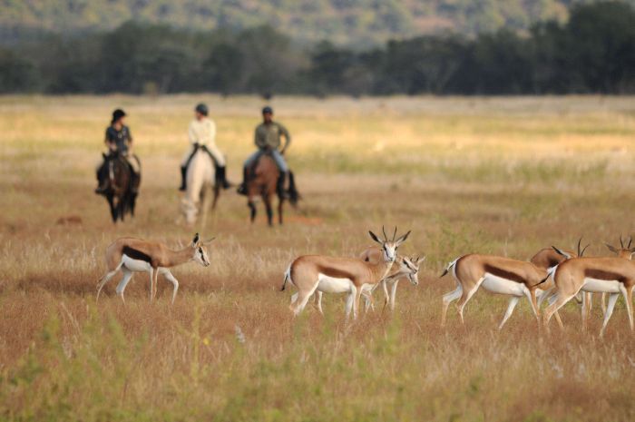 Wildnis Reitsafari im Komfort Camp