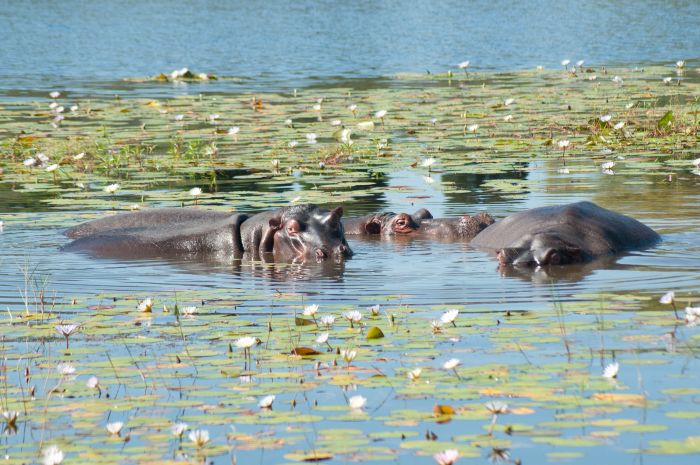 Erlebnisurlaub auf der Lodge am See