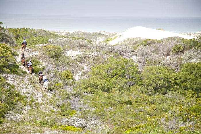 Strandtrail an der Walker Bay