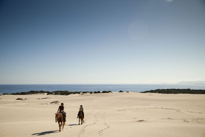 Strandtrail an der Walker Bay