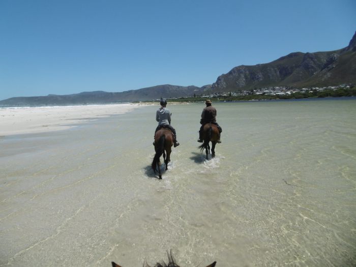 Strandtrail an der Walker Bay