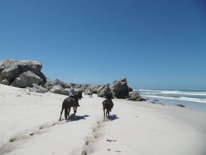 Strandtrail an der Walker Bay