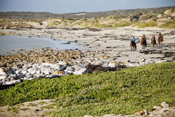 Strandtrail an der Walker Bay