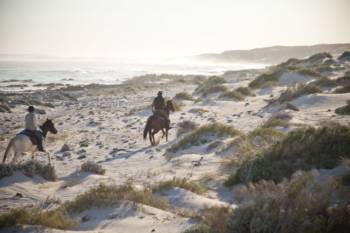 Strandtrail an der Walker Bay