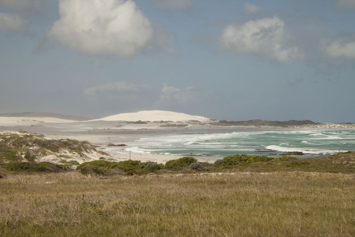 Strandtrail an der Walker Bay