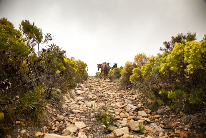 Strandtrail an der Walker Bay