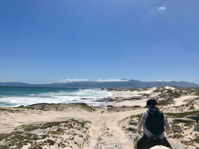 Strandtrail an der Walker Bay