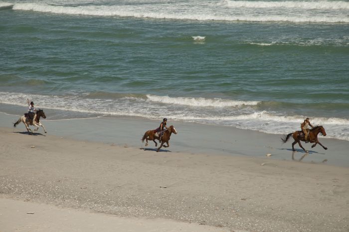 Strandtrail in der Kapregion