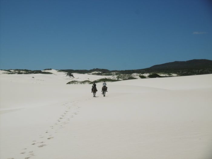 Strandtrail in der Kapregion