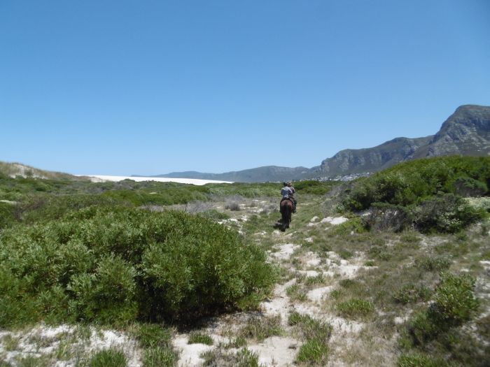 Strandtrail in der Kapregion