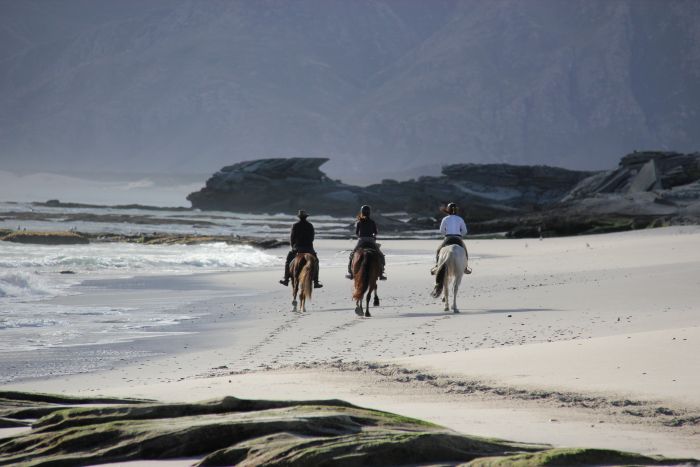 Strandtrail in der Kapregion