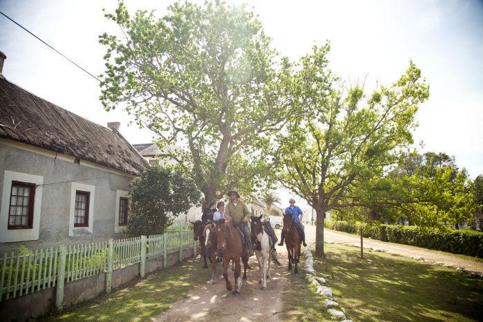 Strandtrail in der Kapregion