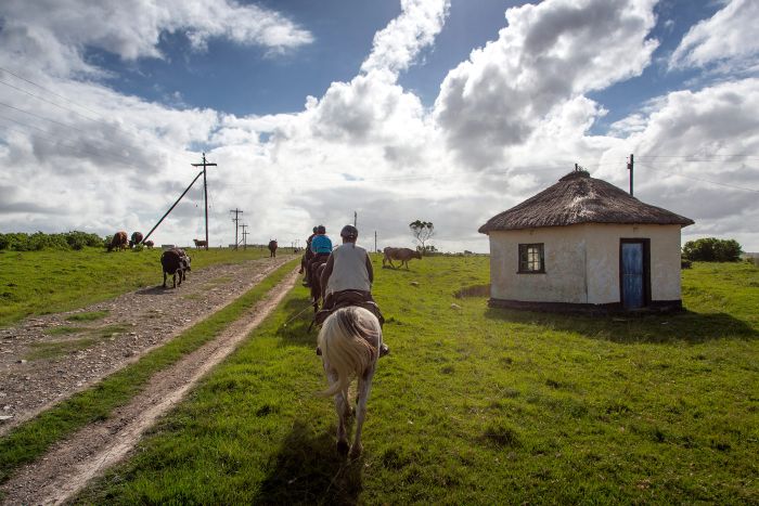 Reiturlaub an der Wilden Küste