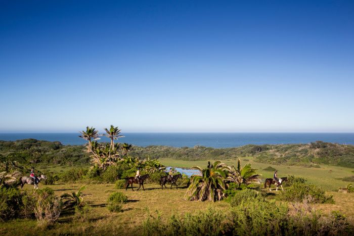 Reiturlaub an der Wilden Küste