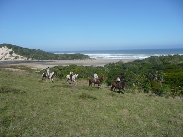 Reiturlaub an der Wilden Küste