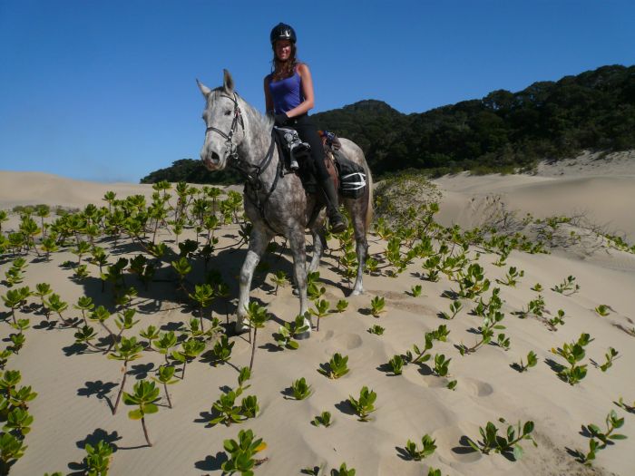 Reiturlaub an der Wilden Küste