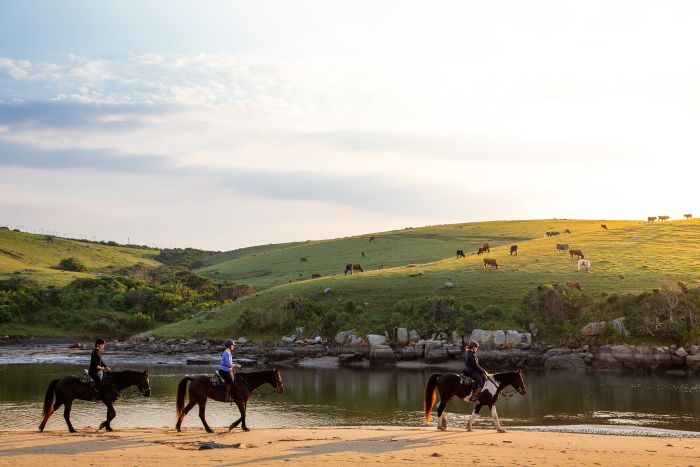 Reiturlaub an der Wilden Küste