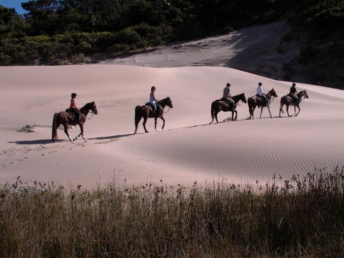 Reiturlaub an der Wilden Küste