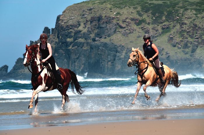 Reiturlaub an der Wilden Küste